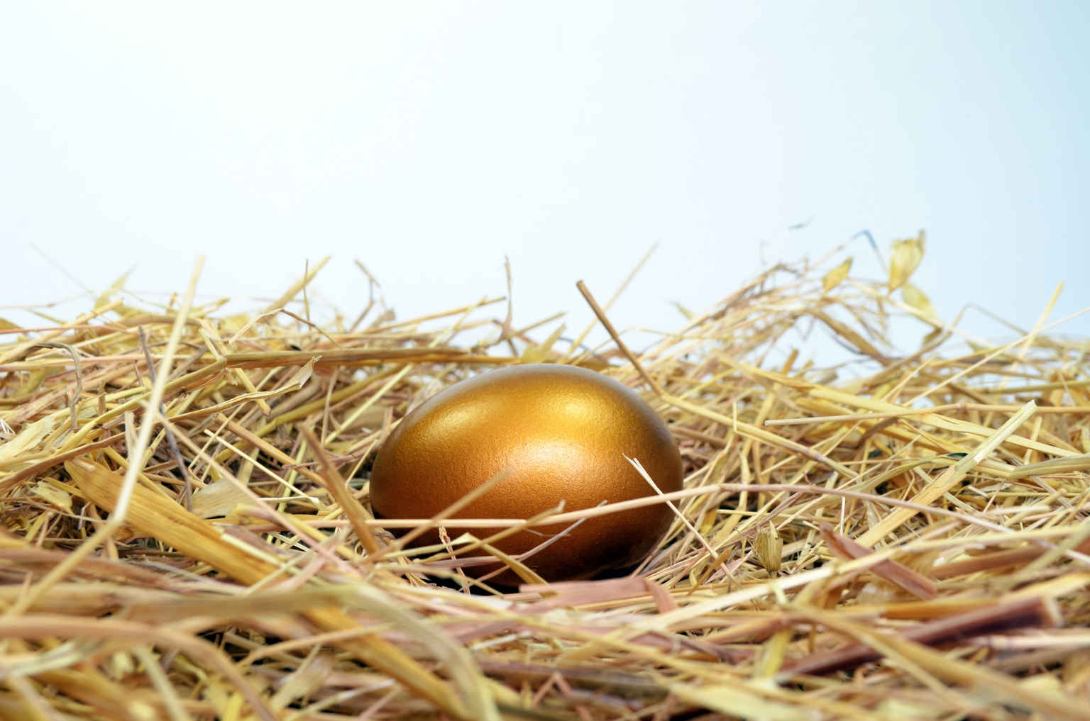 Alphabet: Golden Goose Isn't Cooked, Yet (NASDAQ:GOOG)