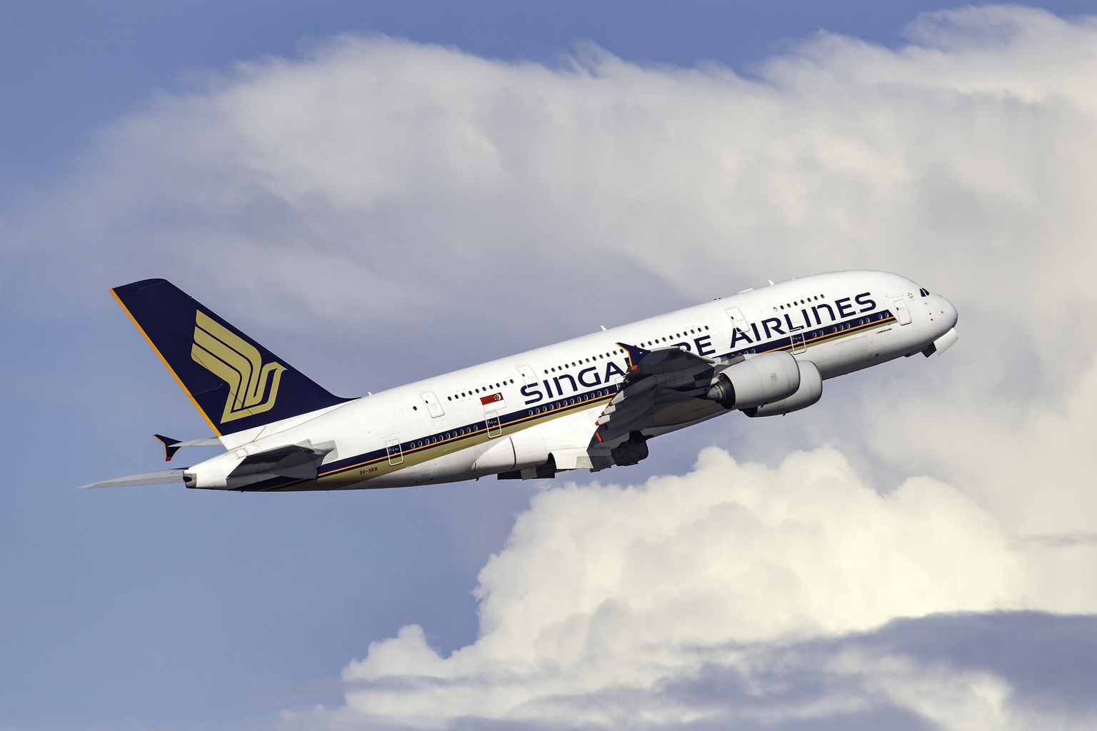 seekingalpha.com - Rob Williams - Singapore Airlines is said to weigh order for more than 50 long-haul jets (BA:NYSE)