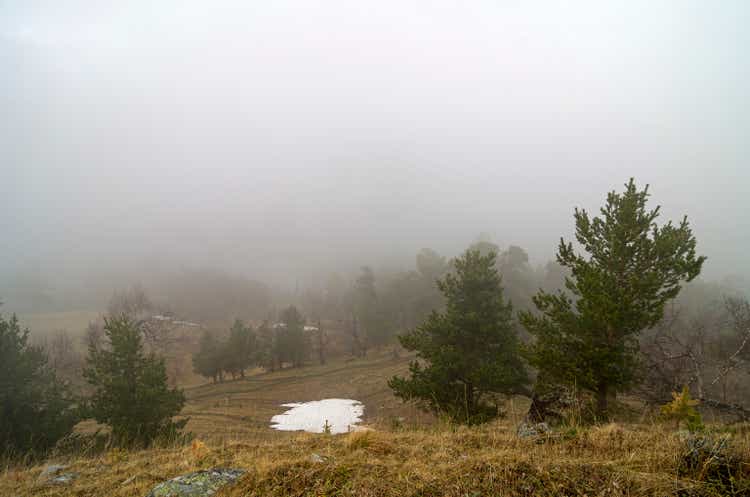 Hillside in thick fog. Caucasus.