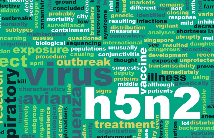 Bird flu death in Mexico linked to strain not seen in humans before