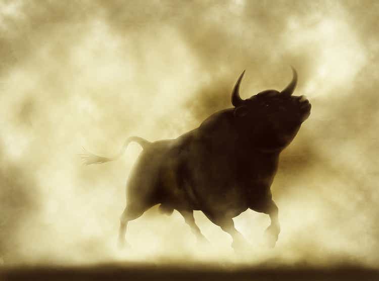 Angry bull