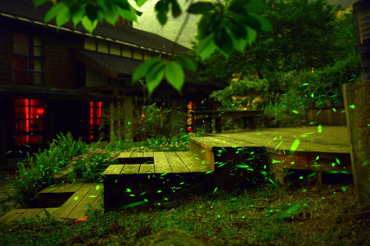 Fireflies were flying above wooden stairs and ground