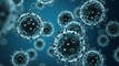 Cidara more than doubles on phase 2 flu preventative data article thumbnail