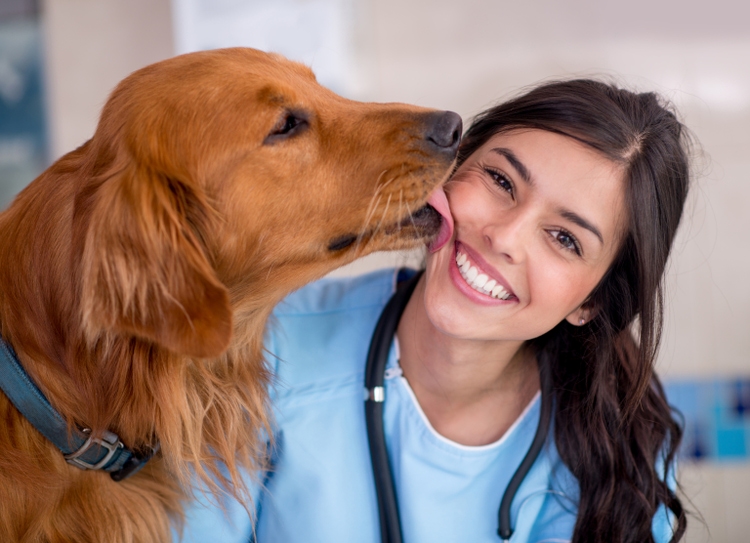 PetMed Express Recovery Prospects Amid Financial Concerns (NASDAQPETS
