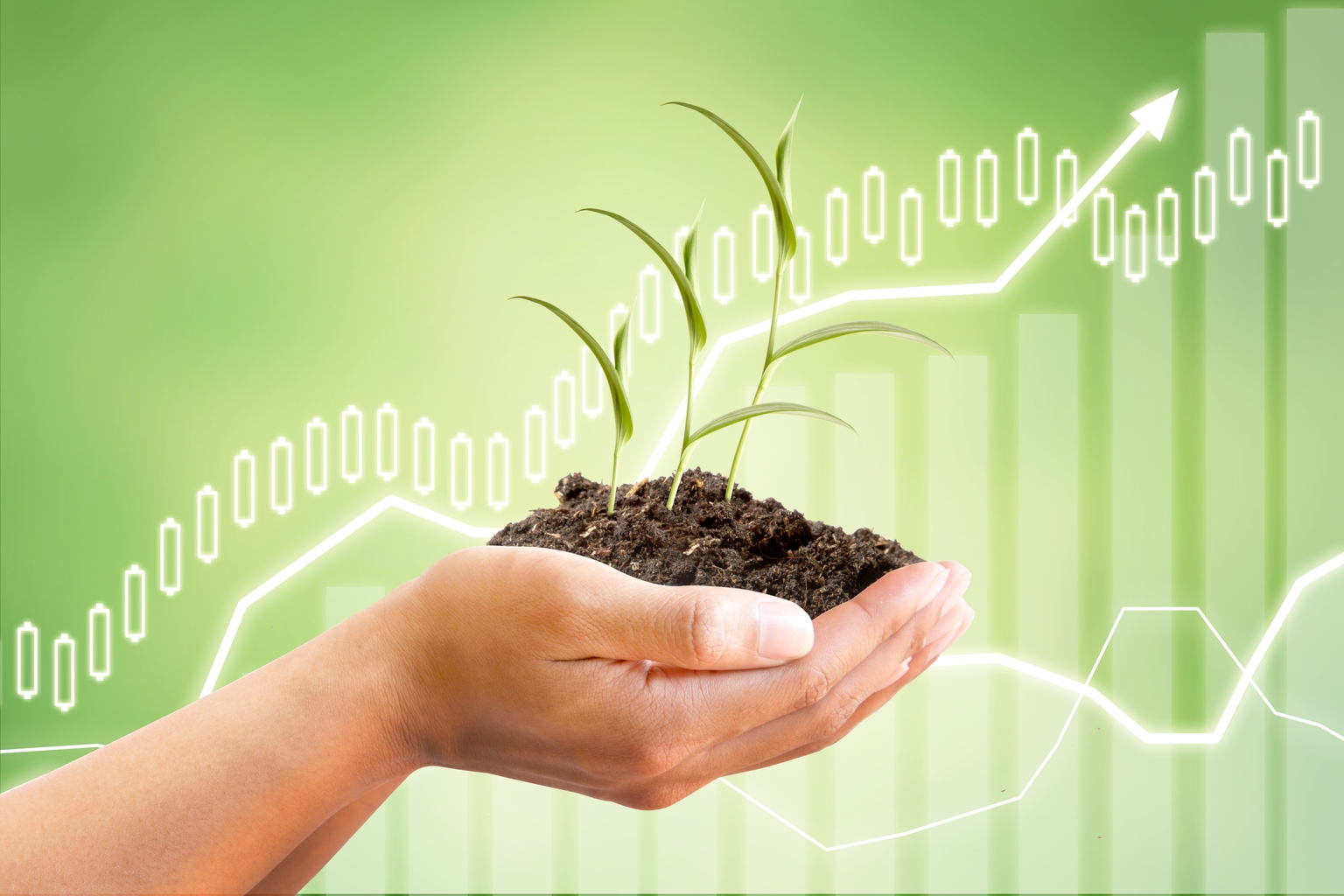 Gator Capital Management Q2 2025 Investor Letter