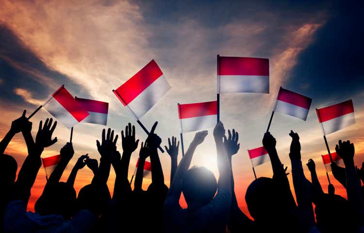 Group of People Waving the Flag of Indonesia