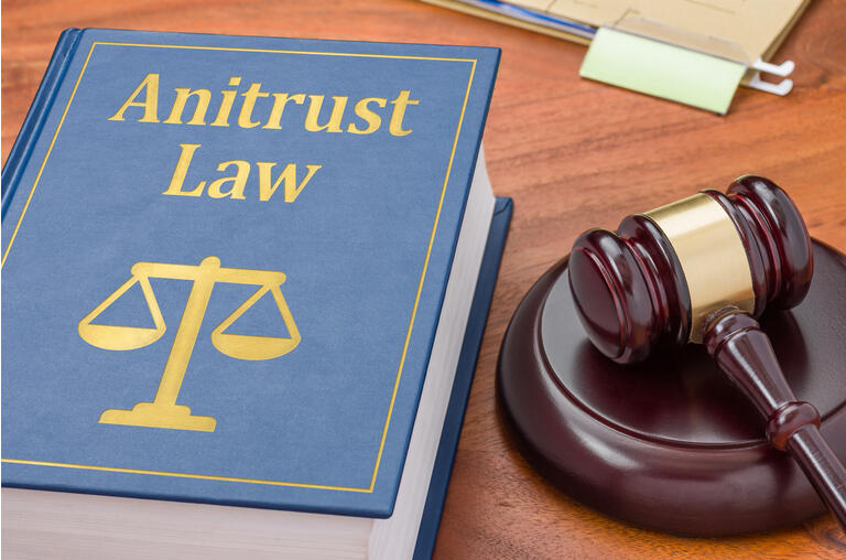 Law book with a gavel - Antitrust law
