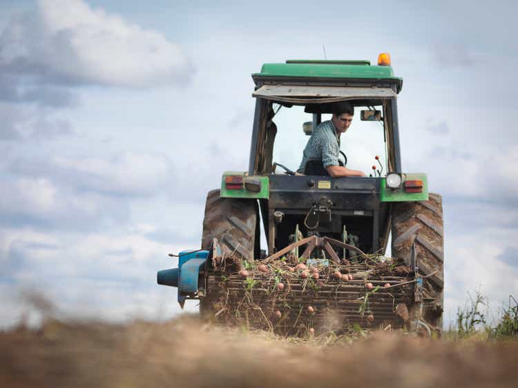 Farmer on tractor harvesting organic potatoes