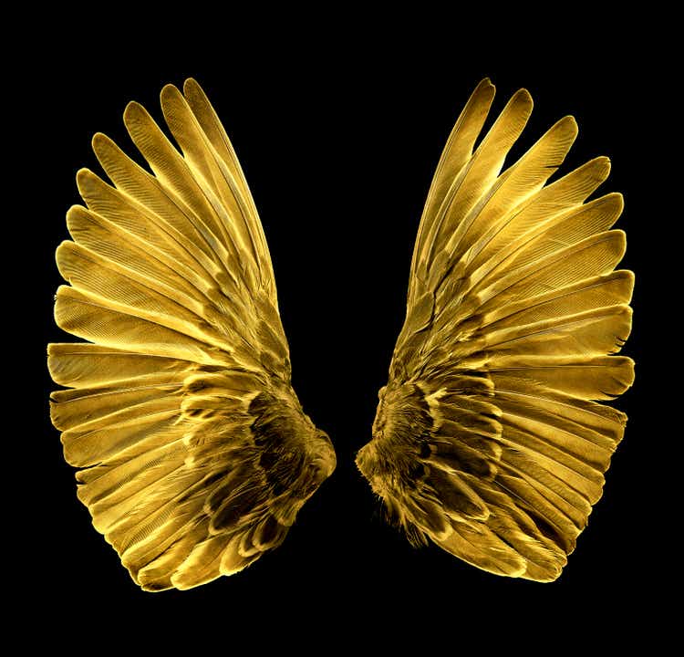 Gold Wings