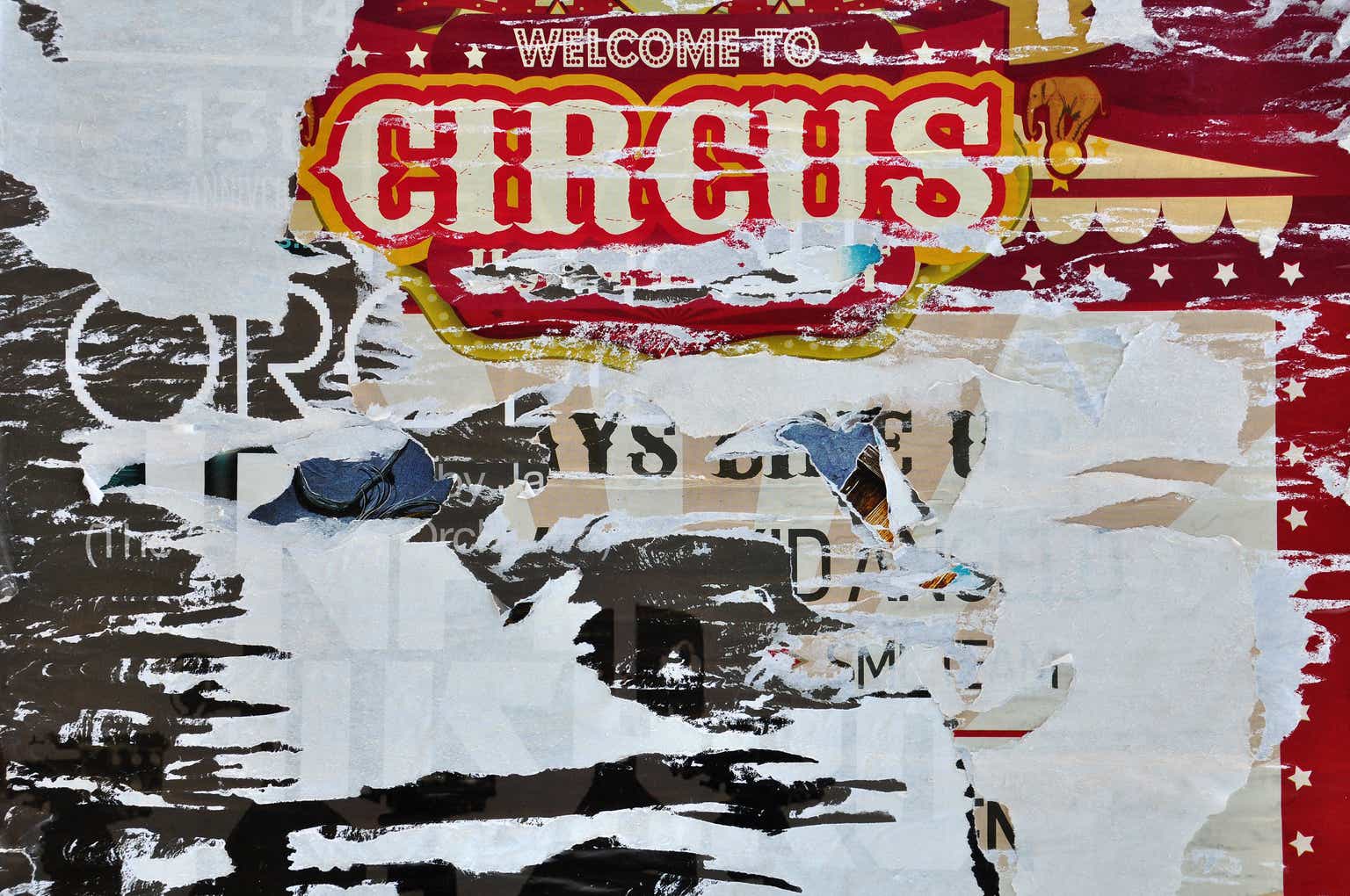 A Monkey In Every Circus: Initiating Google With A Buy (NASDAQ:GOOG)