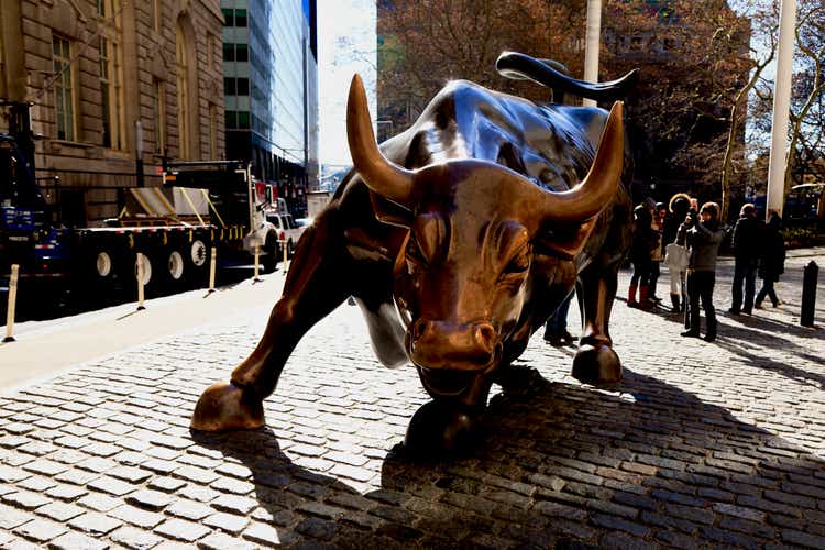 Charging Bull