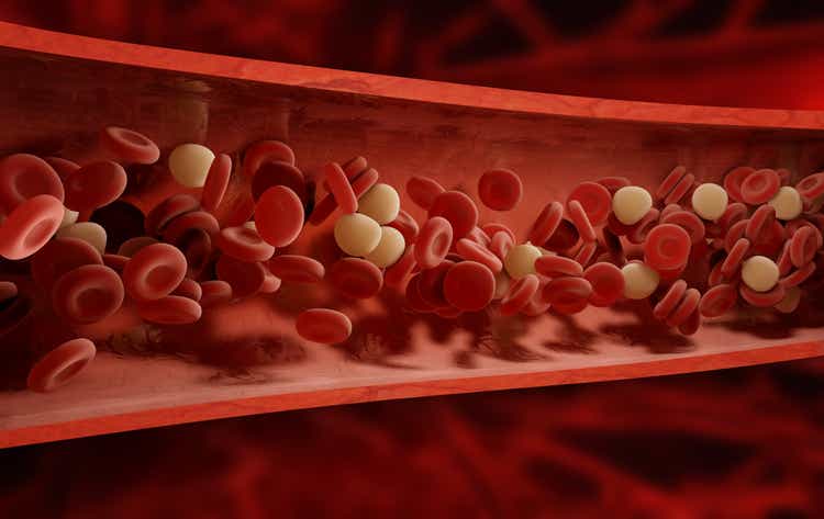 blood cells