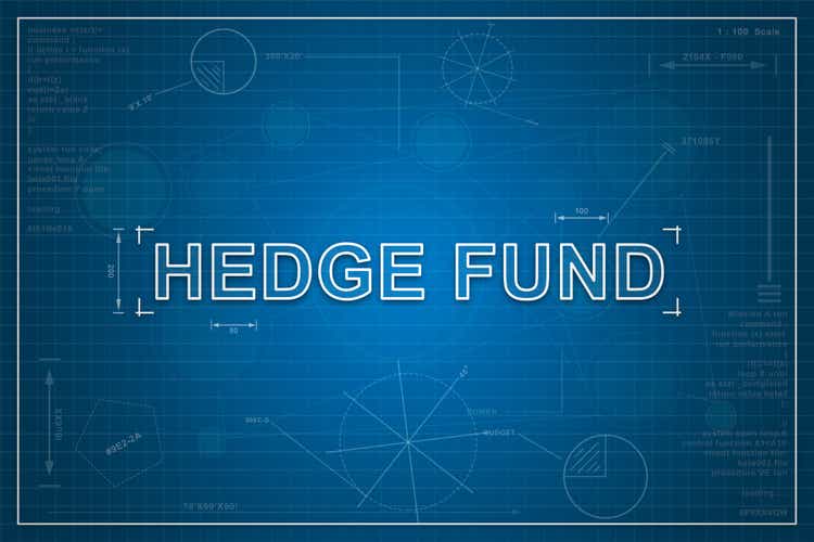 hedge-fund-what-it-is-how-it-works-2022