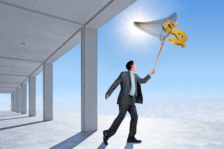 Businessman Capturing A Dollar Sign In A Butterfly Net