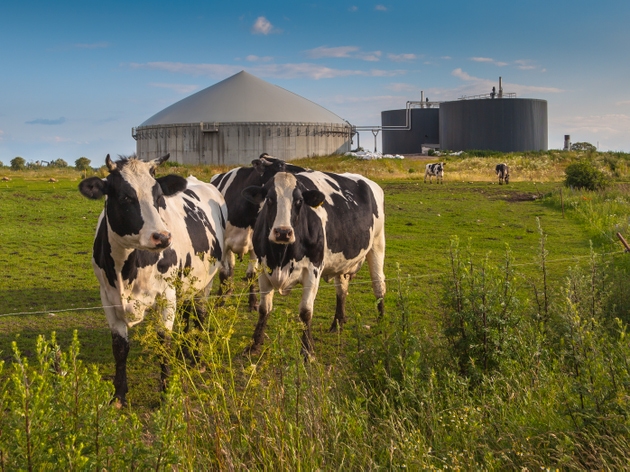 Clean Energy Fuels launches eighth dairy RNG production plant