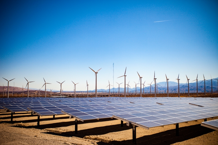 Field of Solar Panels and Windmills