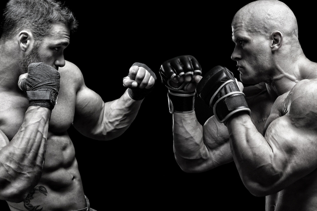 Fight
