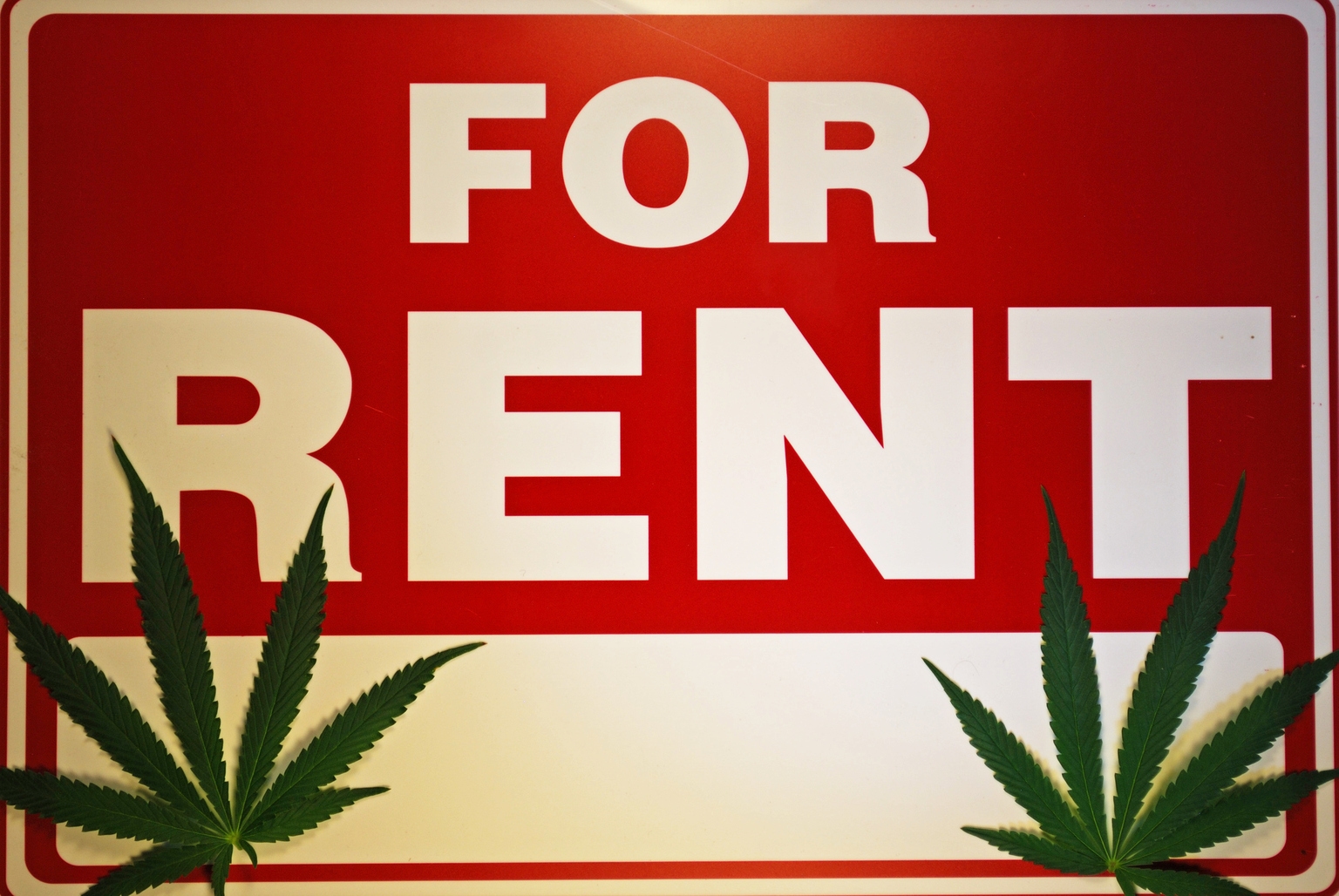 Innovative Industrial Properties Stock: Cannabis REIT At Risk Premium (NYSE:IIPR)