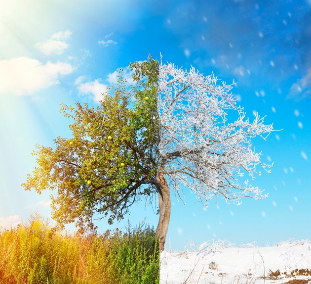 apple-the-winter-is-coming-nasdaq-aapl-seeking-alpha
