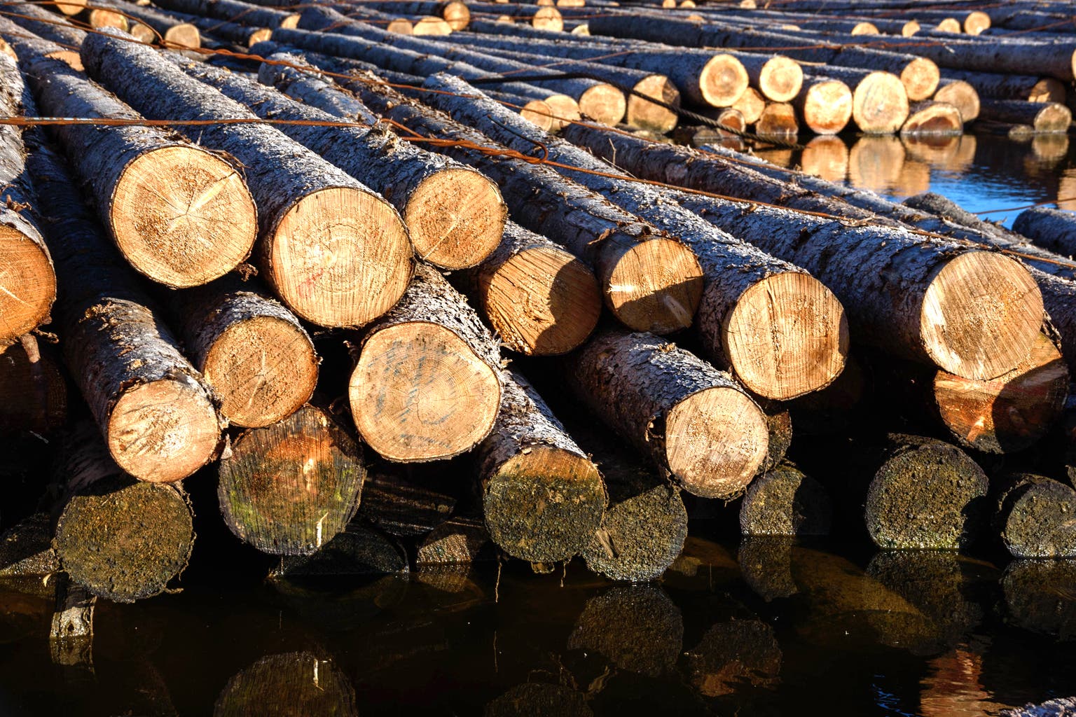 West Fraser: Downgrading To A 'Hold' On Ongoing Uncertainty And Bearish EPS Revision Trends