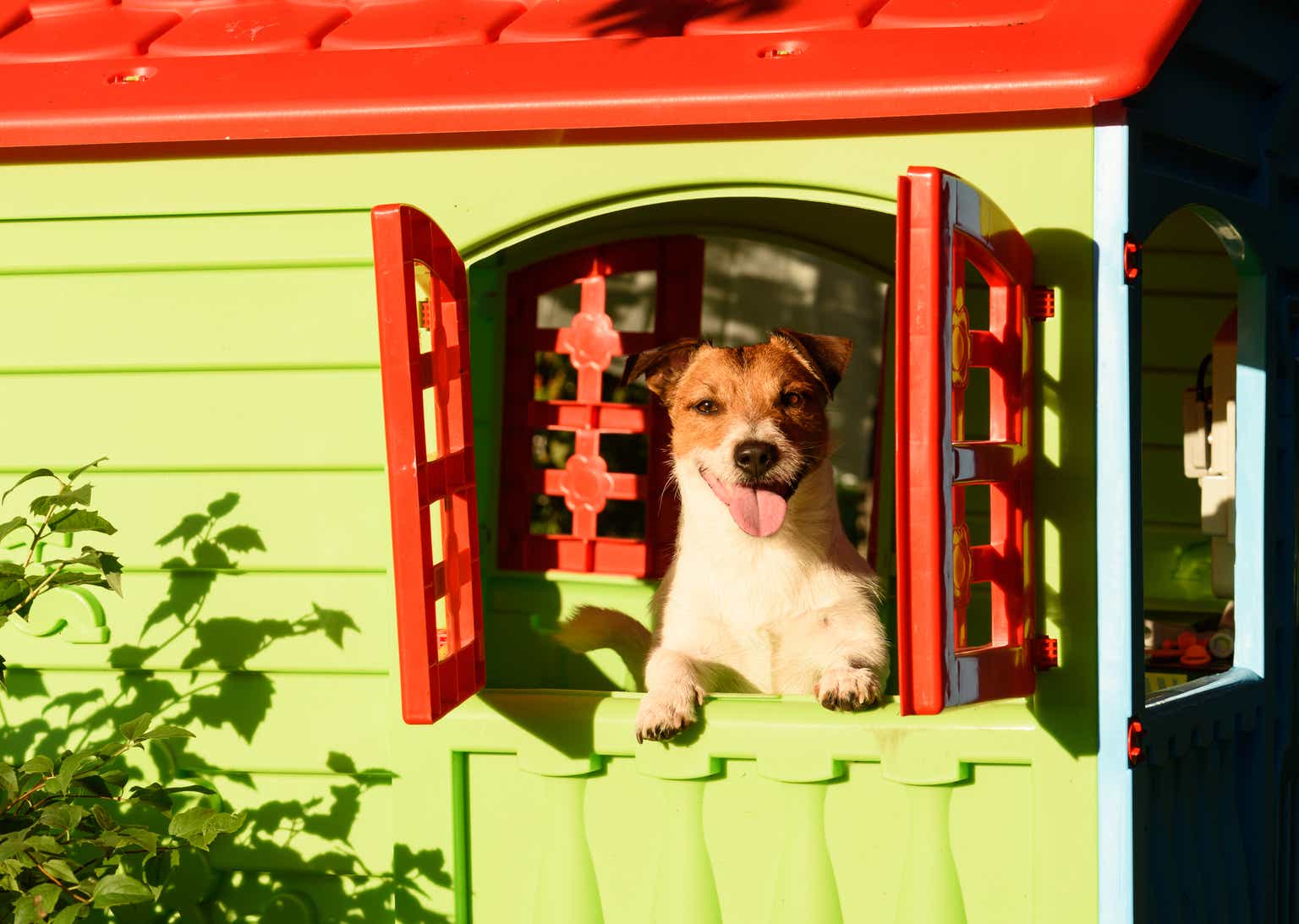 Shell Stock: Out Of The Doghouse (NYSE:SHEL)