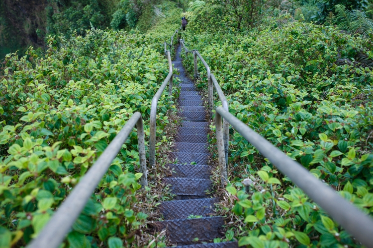 The Environmentalist’s Fortune: $3 Billion And Climbing  : Financial Reports Salary & Latest News