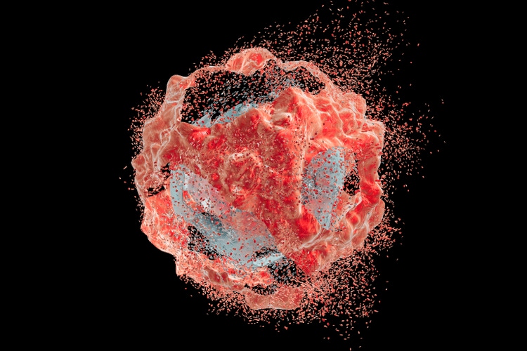 Destruction of cancer cell