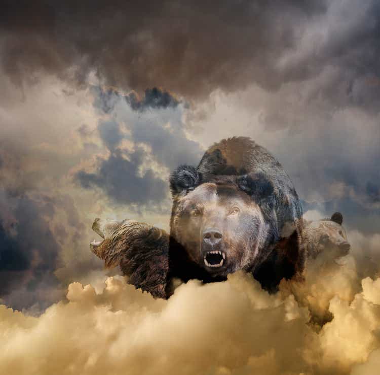 Bear growling in cloudy sky