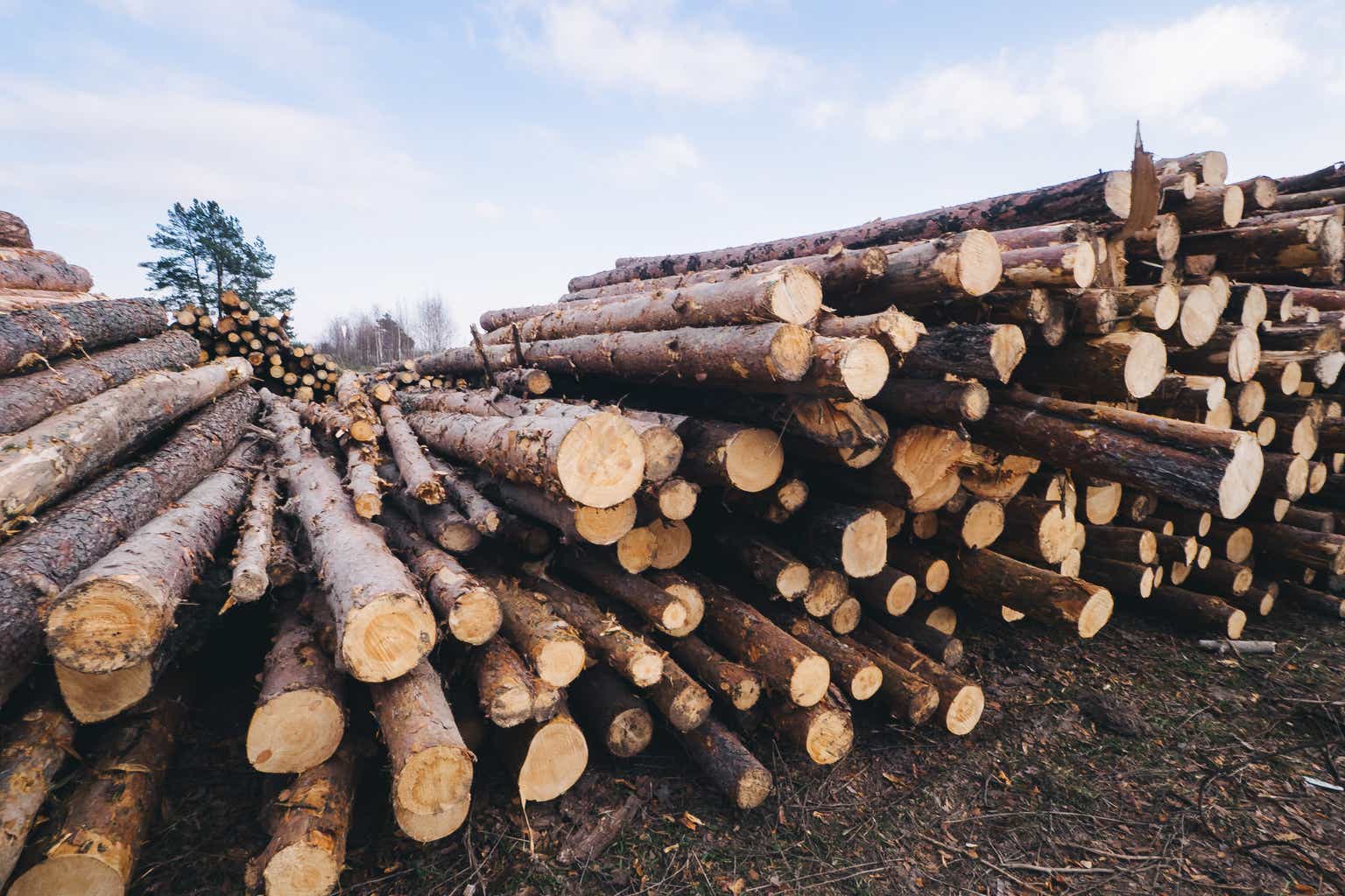 Acadian Timber Corp: Tariff Uncertainty & Potential Topping Pattern Warrant Investor Caution