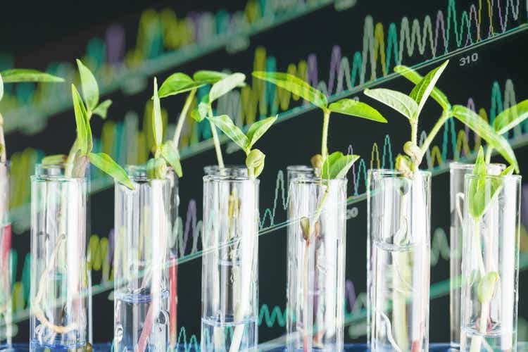 Ginkgo Bioworks: Promising Upside But Not Without Risks