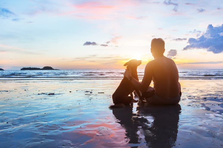 friendship concept, man and dog sitting together on the beach