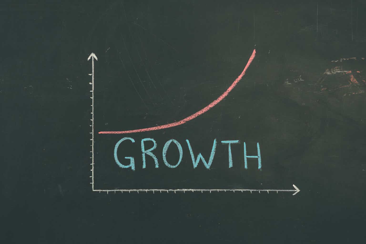 TimesSquare U.S. Mid Cap Growth Strategy Q4 2024 Commentary