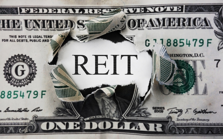 REIT dollar concept