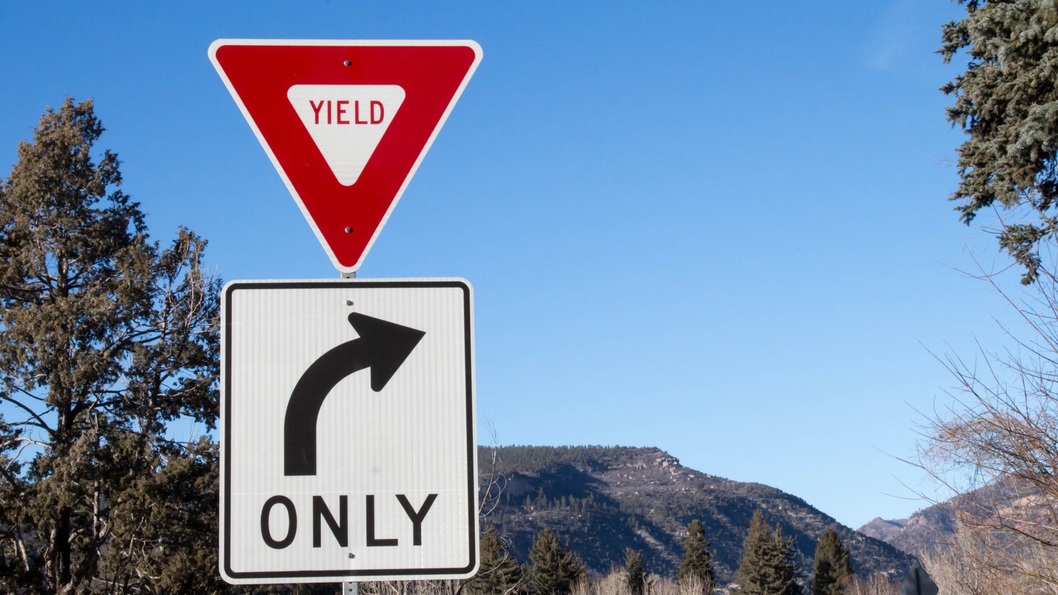 Understanding the Yield Curve