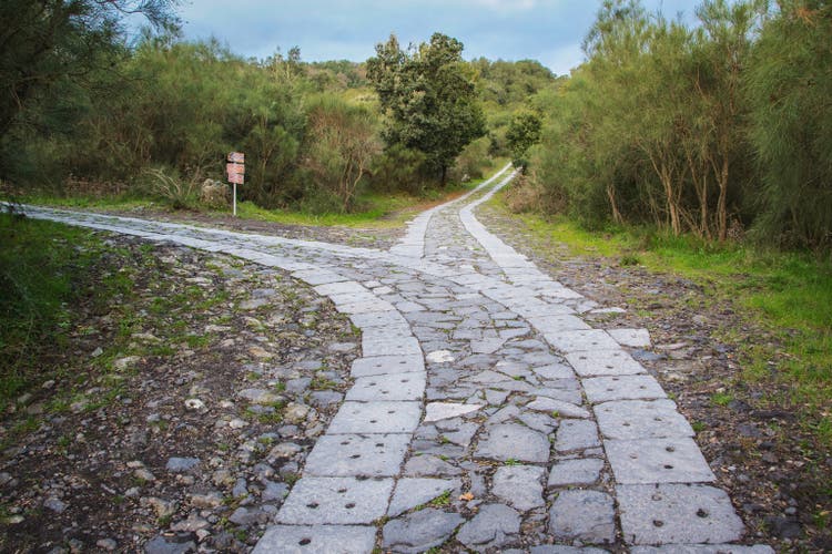 The road leads to a fork. Which do you choose?