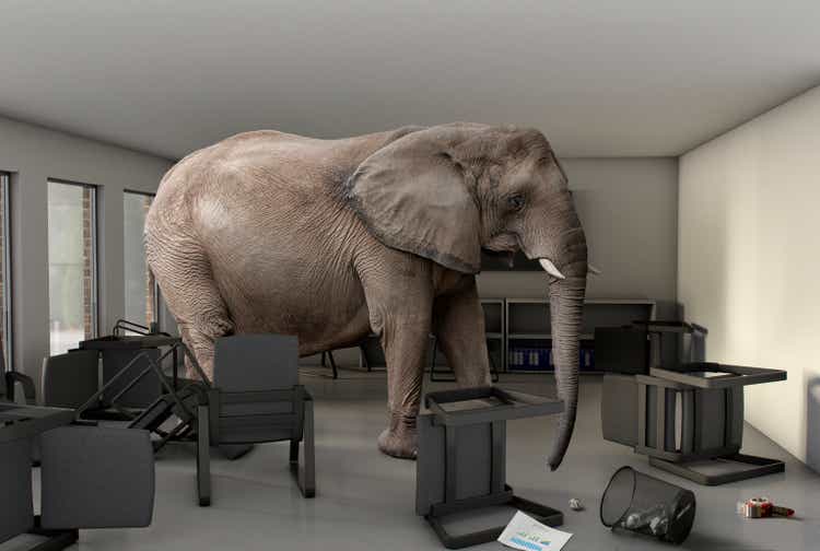 Elephant in the Room