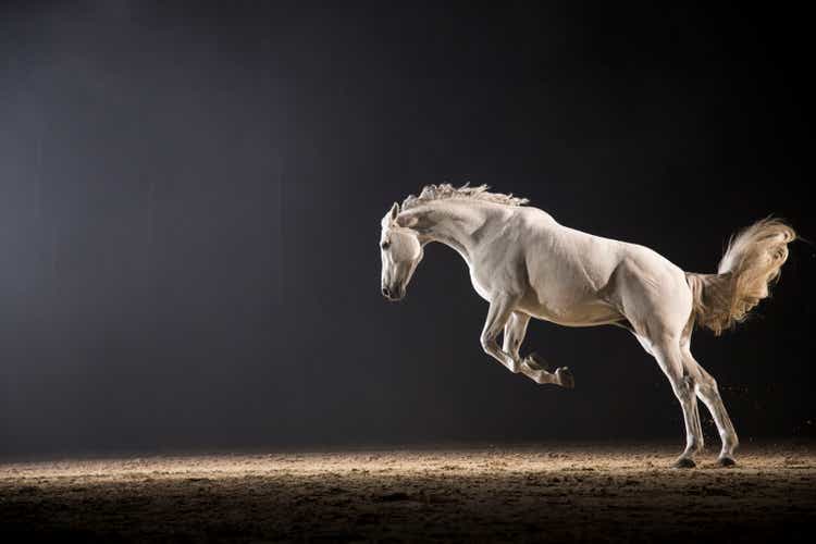 Galloping Horse