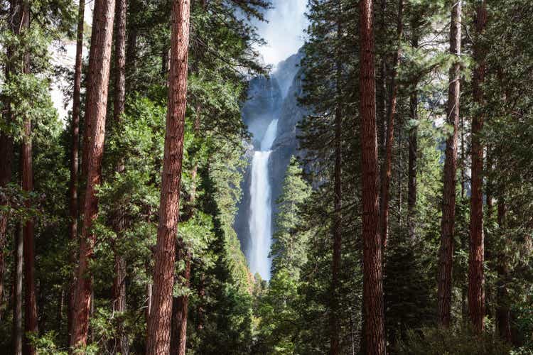 Lower Yosemite fall and forest, Yosemite NP, USA