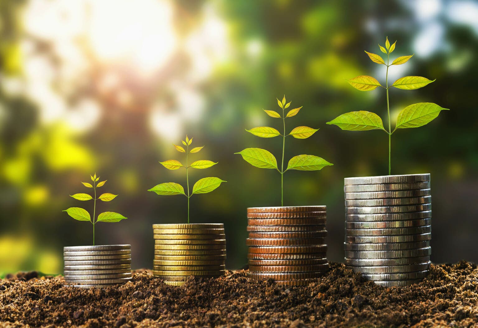 DGRO Vs. VIG: 4 Reasons To Go With VIG
