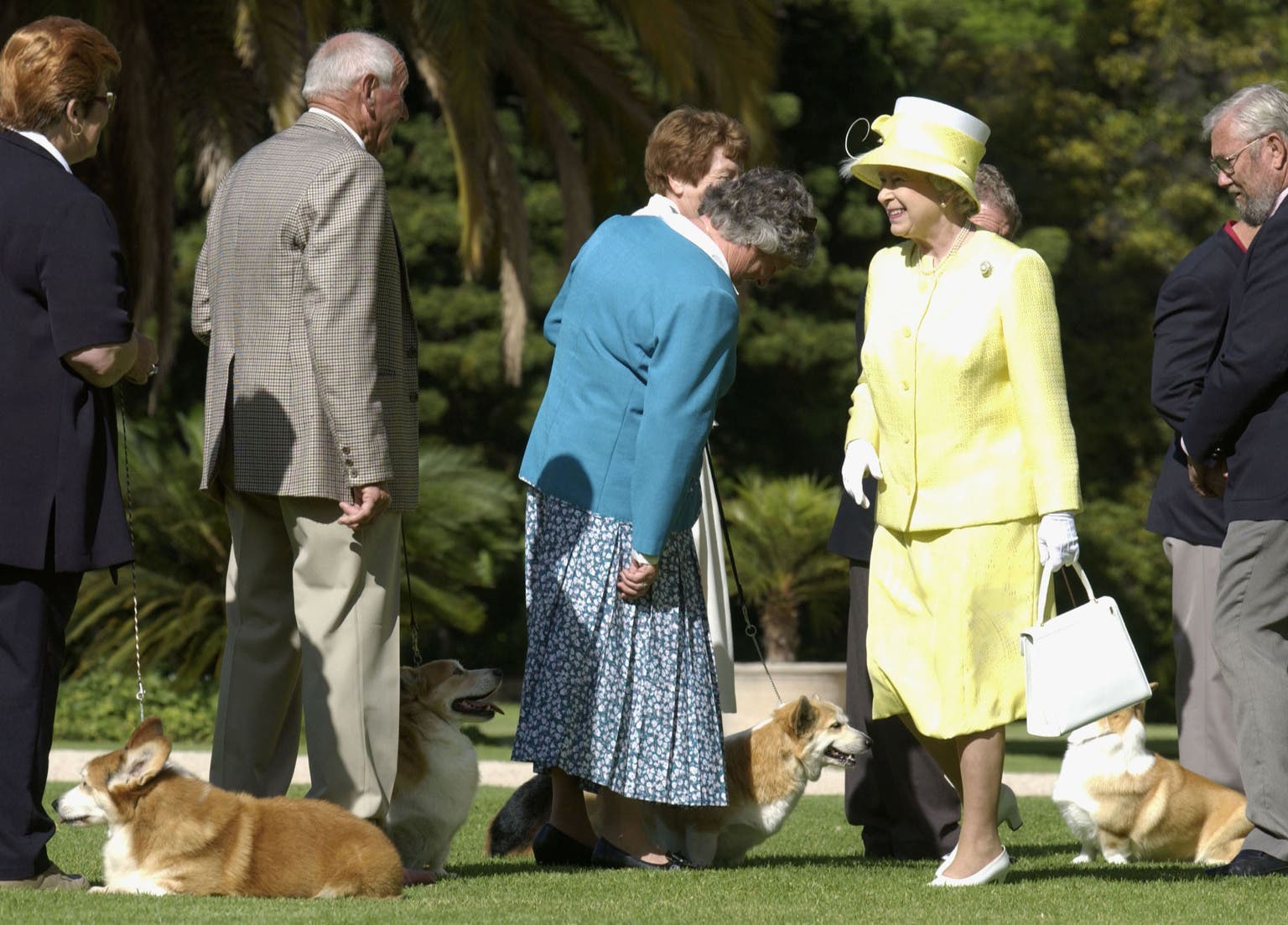 Корги елизаветы 2 фото 4 S&P 500 Dividend Aristocrat Dogs To Buy, 1 To Watch Seeking Alpha