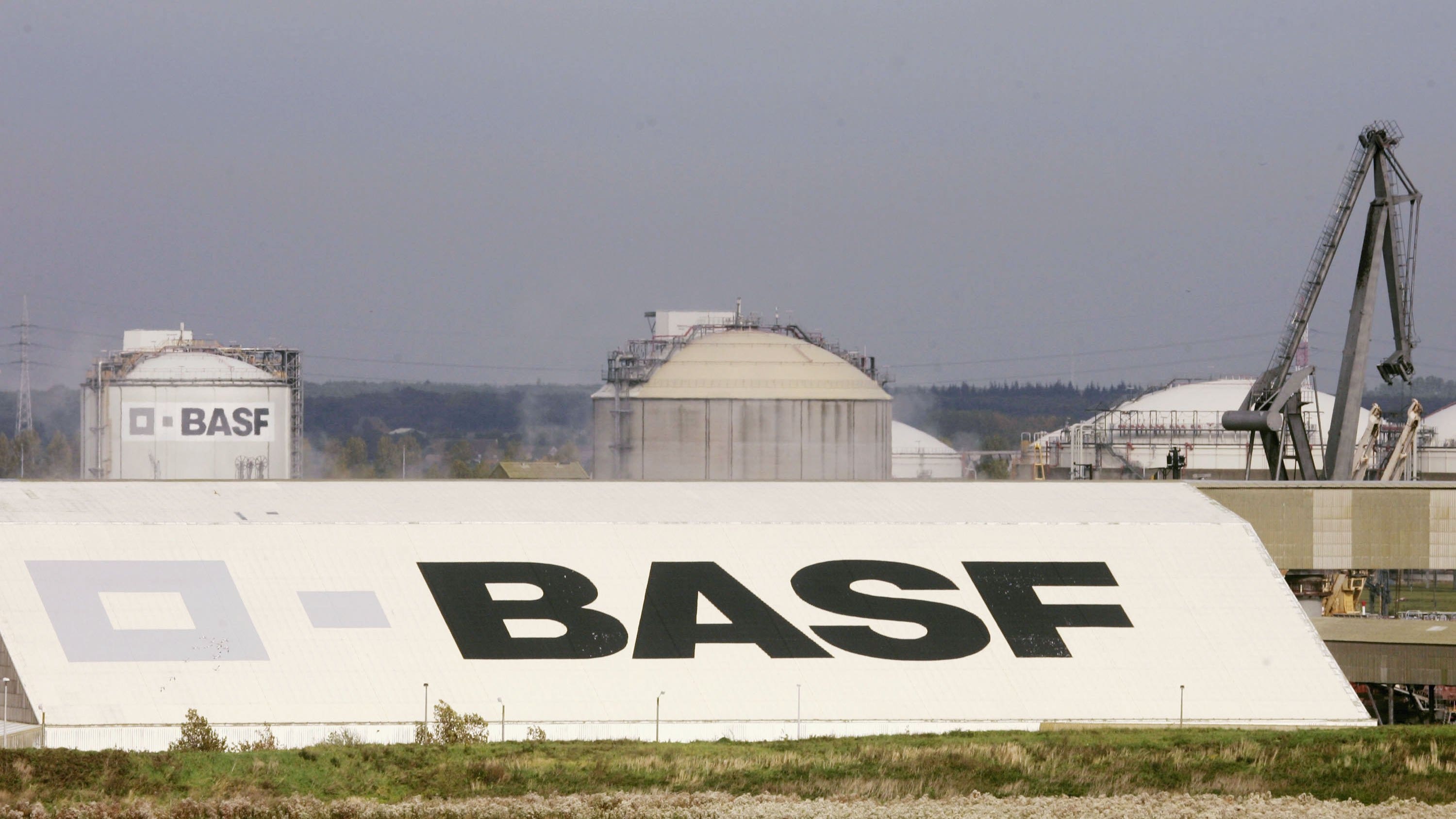 BASF