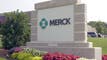 RFK Jr’s new vaccine advisor has reportedly served as expert witness against Merck vaccine article thumbnail