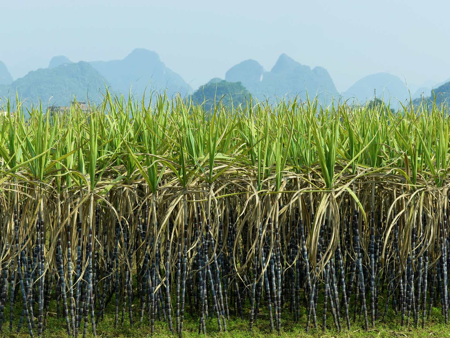 Weaker ethanol and sugar prices as well as the core operating structure had a negative impact on Cosan (CSAN)