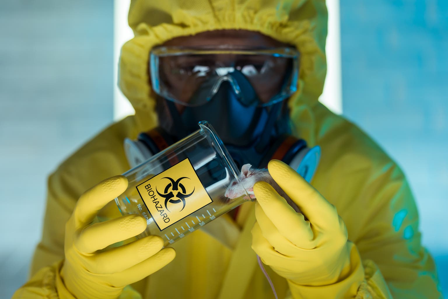 Bitcoin Is Not 'Rat Poison', But The Solution