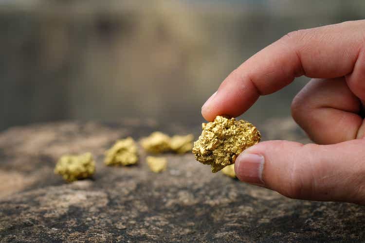 El mineral de oro puro encontrado en la mina está en manos de los hombres.