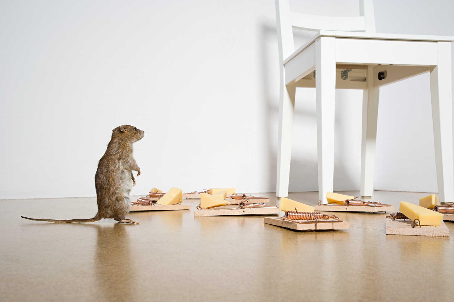 The REIT Mousetrap: Where's The Cheese? - Vimarsana News