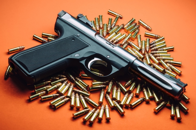 22 Caliber Pistol and Ammunition