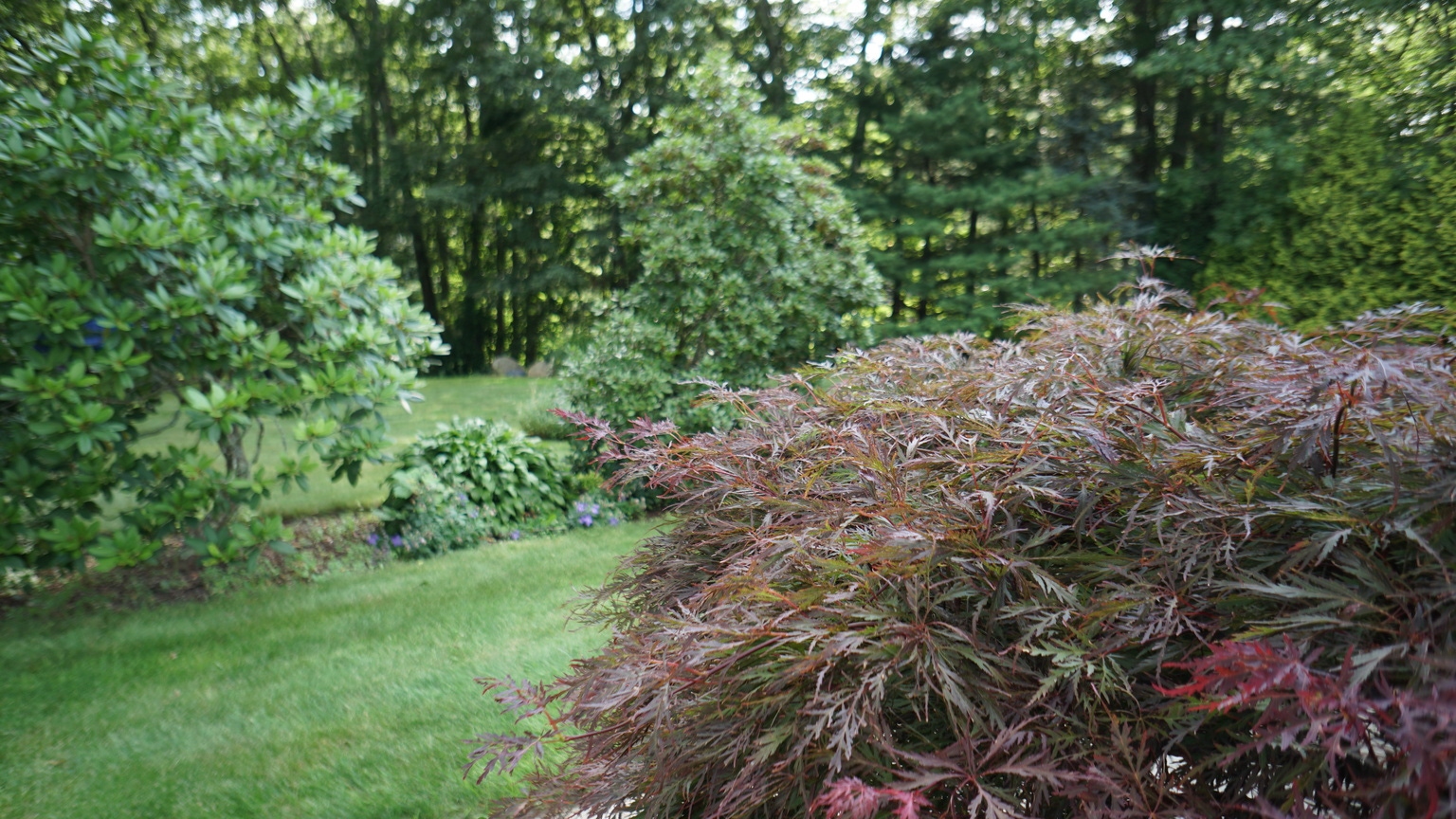 Siteone landscape stock boring business extraordinary results nyse