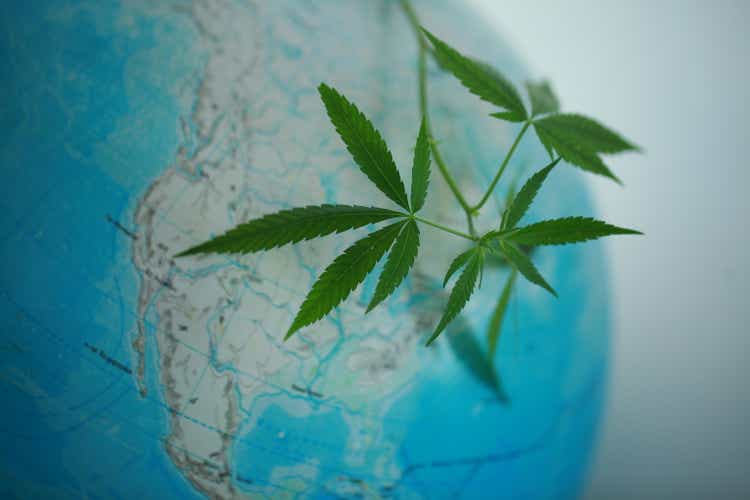 Cannabis on the background of the globe