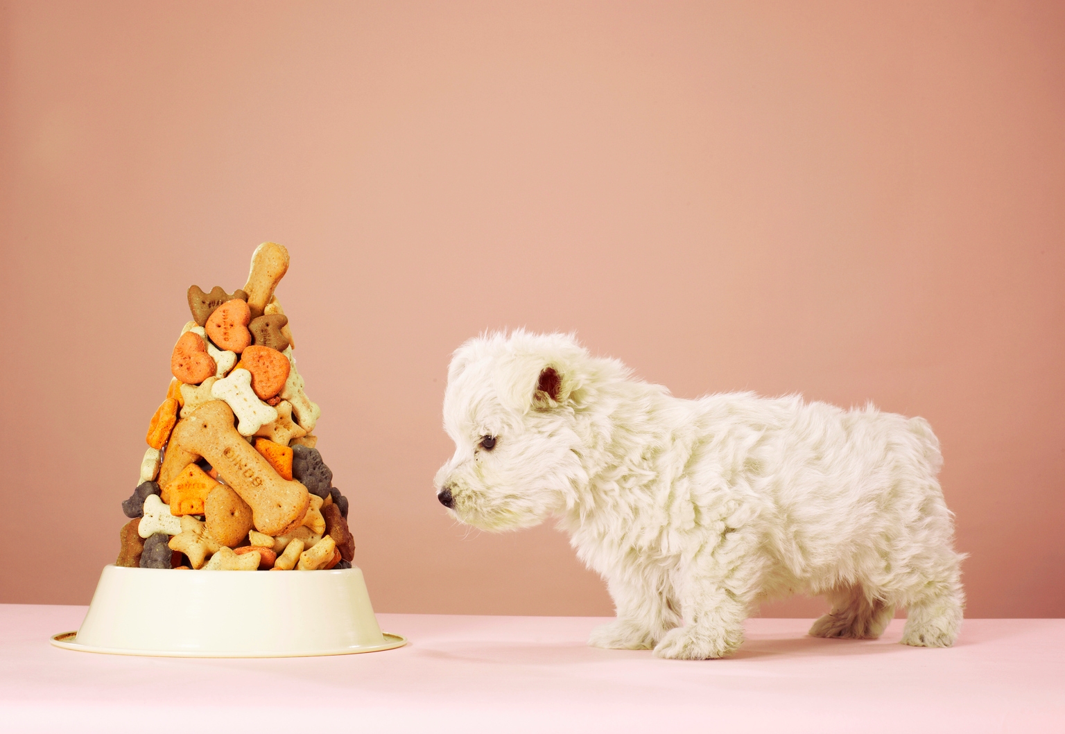 Chewy Stock: Renewed Sales Momentum Gives Me Hope (Upgrade) (NYSE:CHWY)